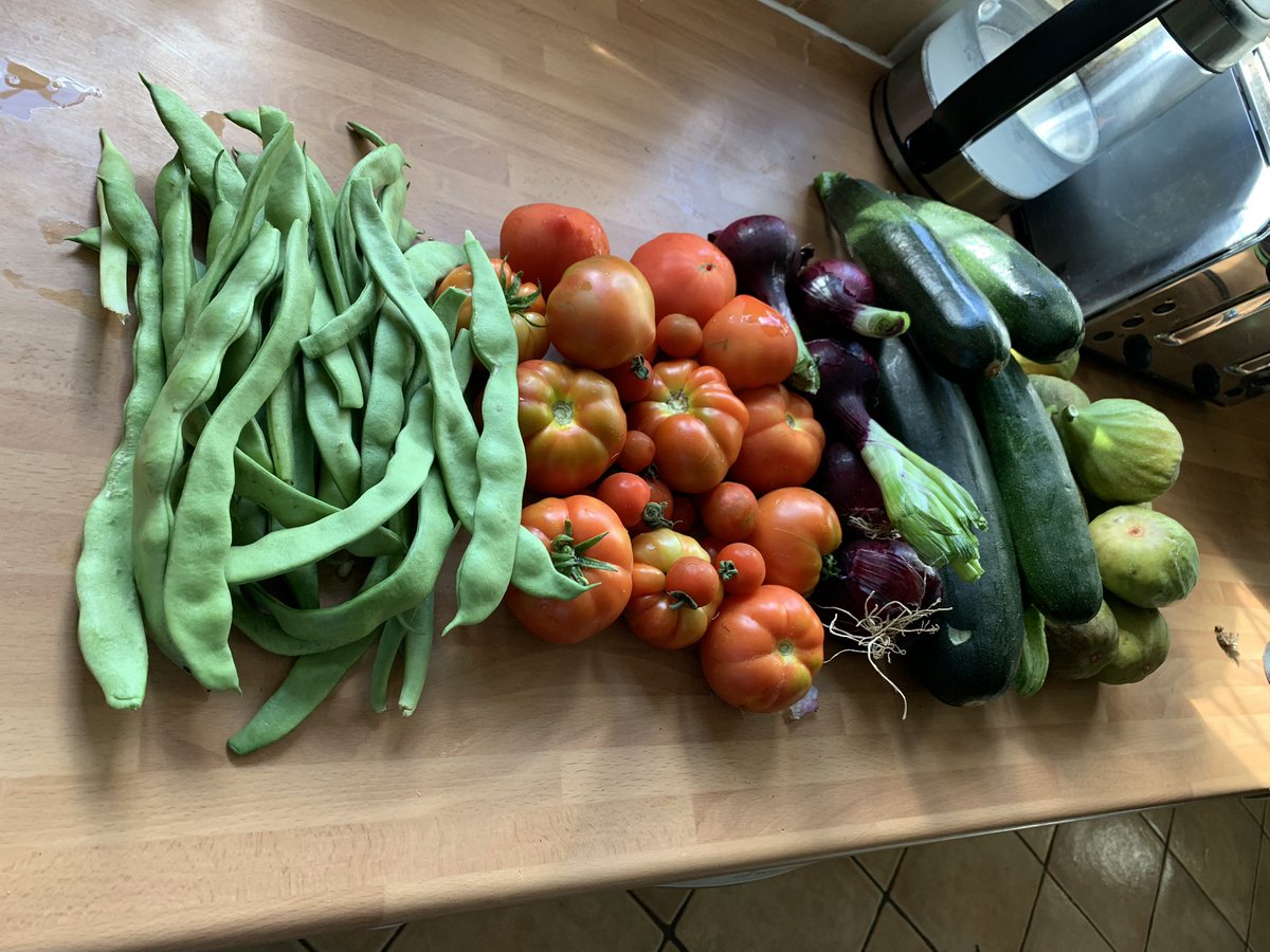 rebecca_morgan's tweet photo. 3/4 of this came from my garden. I paid £4 for chicken breasts. £1 a head. Follow @Jessrocks71 to make the most of your shopping as things get tighter. I know not everyone has a garden, but where there’s a will there’s a way. #growyourown #jessrocks #fuckTheGreatReset https://t.co/6xurxr0qxo