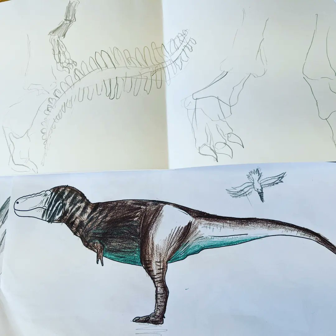 NCMGlearning's tweet image. First two days of summer school!
Dinosaur Day and Into the Wild.
Last day tomorrow!