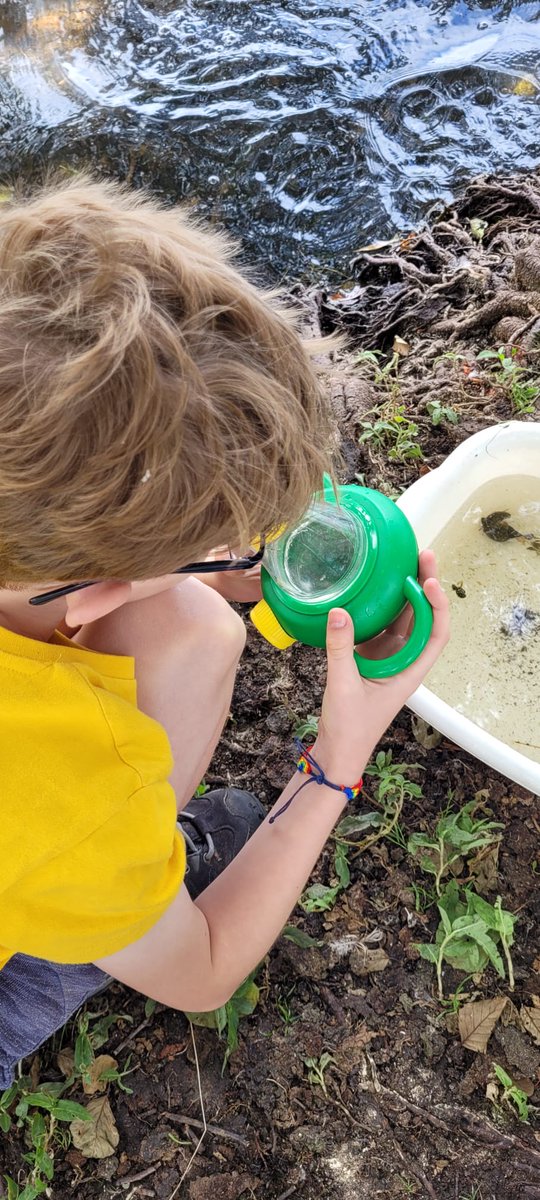 NCMGlearning's tweet image. First two days of summer school!
Dinosaur Day and Into the Wild.
Last day tomorrow!