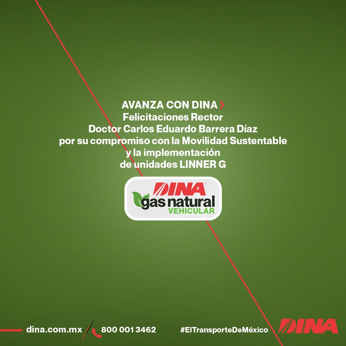DINA tweet media