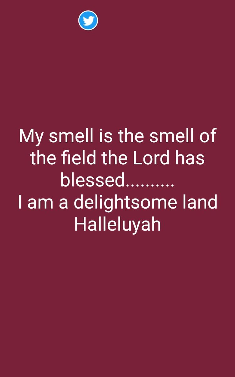 Titidimples's tweet photo. 🙏 https://t.co/J4rU3B7KQs