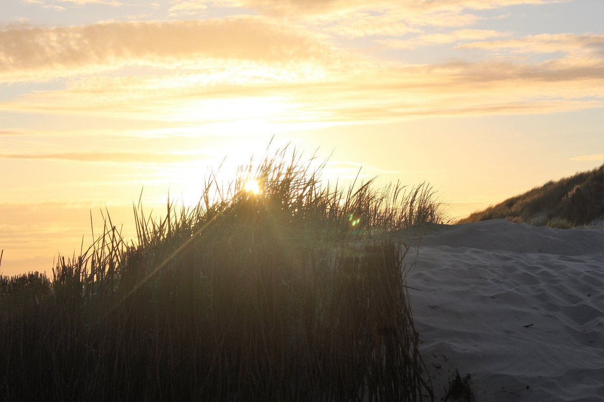 Annebarg's tweet photo. Heel even vanavond...
#ameland #langsdekustlijn #dinte https://t.co/93YQZkh6j1