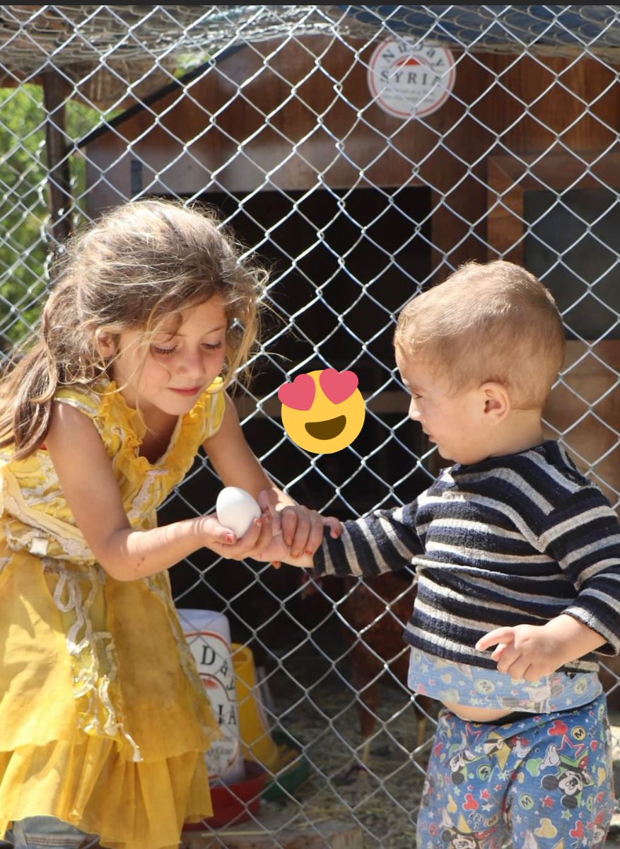 NadiaAlawa's tweet photo. One egg a day keeps poverty away. Empowerment in ngo-work is a win-win. https://t.co/ZvzklzAIfq