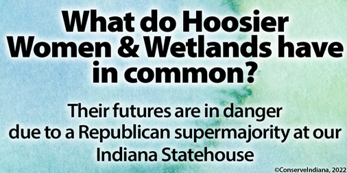 Vote 2 Conserve Indiana tweet media