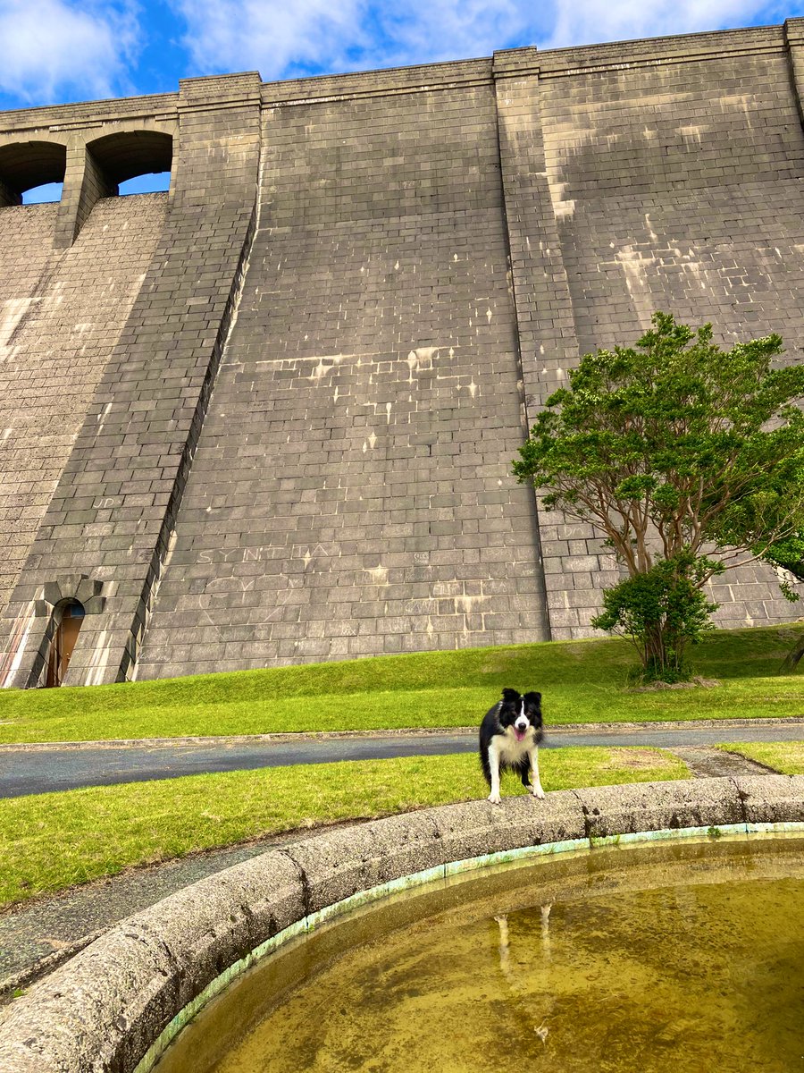 GarfittRachel's tweet photo. Day 3 Silent Valley to Ben Crom Dam ✅ #AHPsActive #NIAHPsActive https://t.co/7srl9J0vc7
