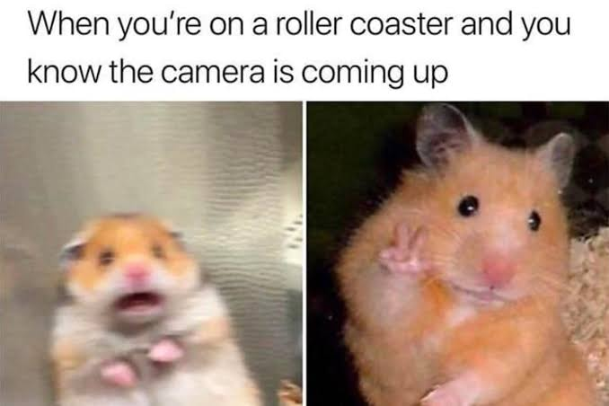 WholesomeMeme's tweet photo. https://t.co/3BfvemTTOm
