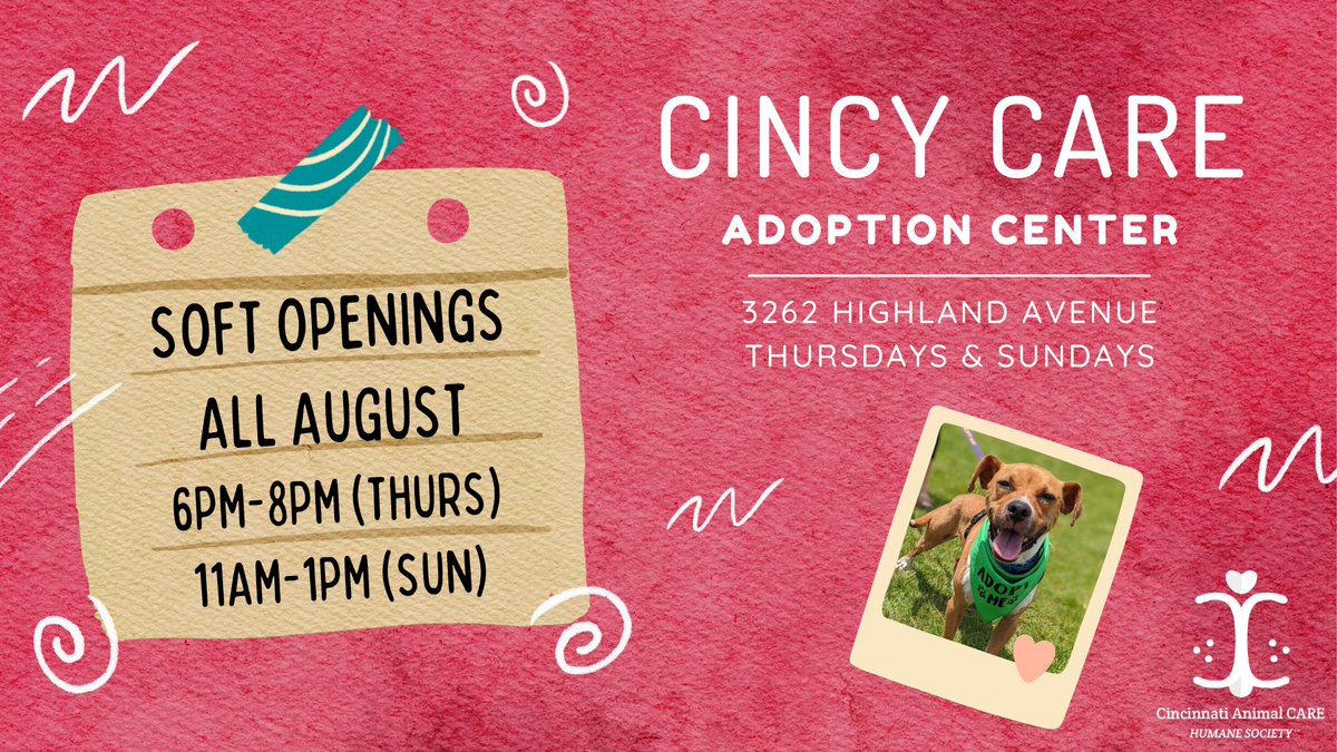 We'll be back at the Adoption Center this Thursday evening from. 6pm-8pm and Sunday 11a-1p! 