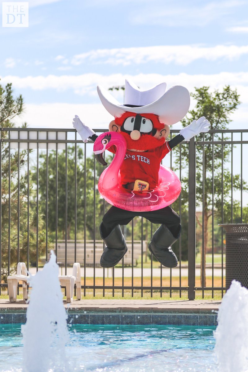 DT Multimedia tweet media