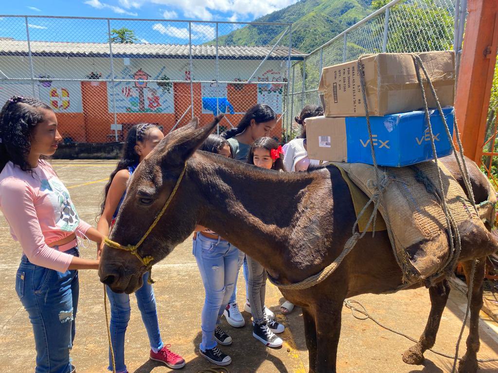 Fundación Global ACT tweet media