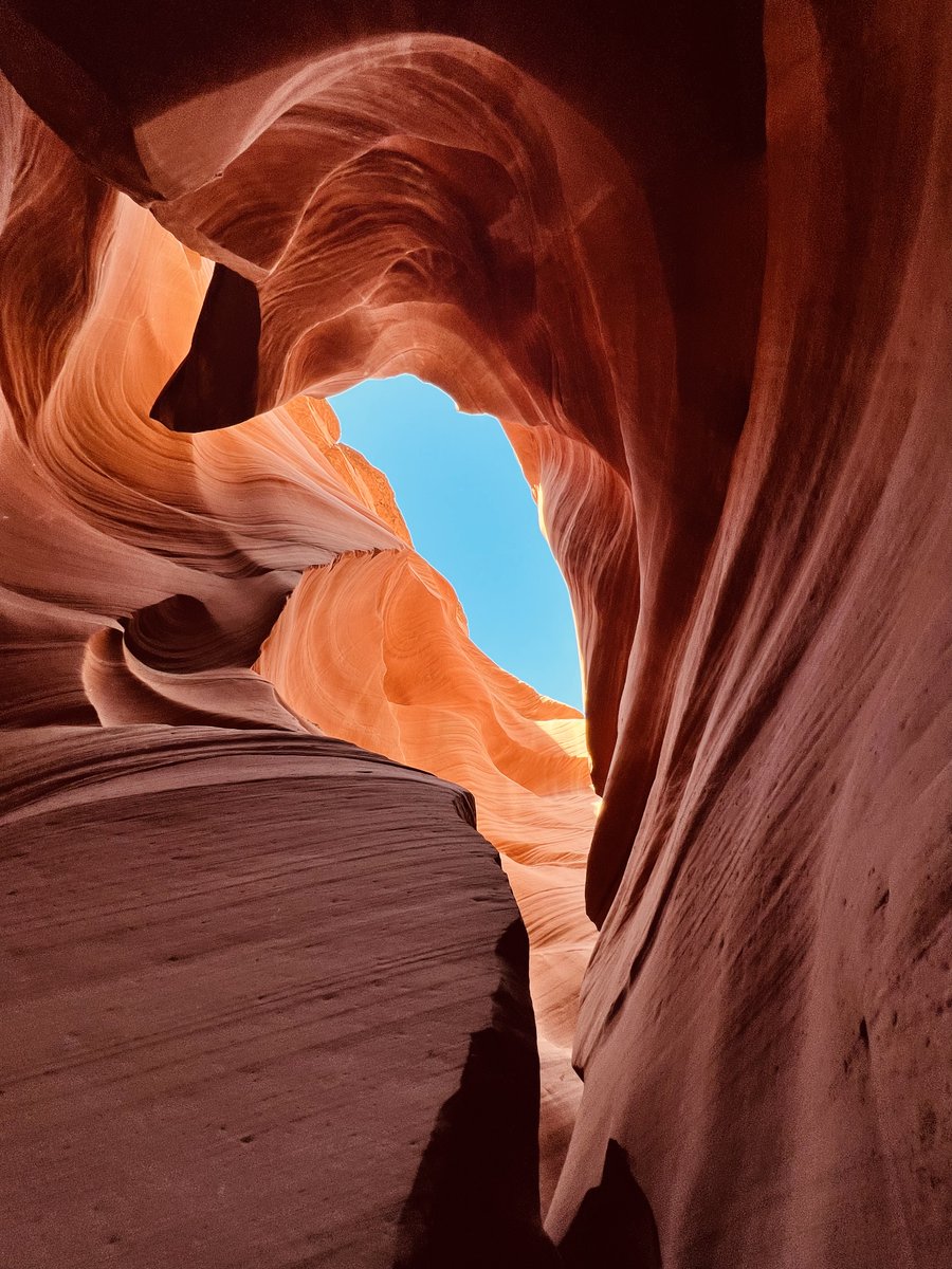 NFHS Talon Yearbook tweet media