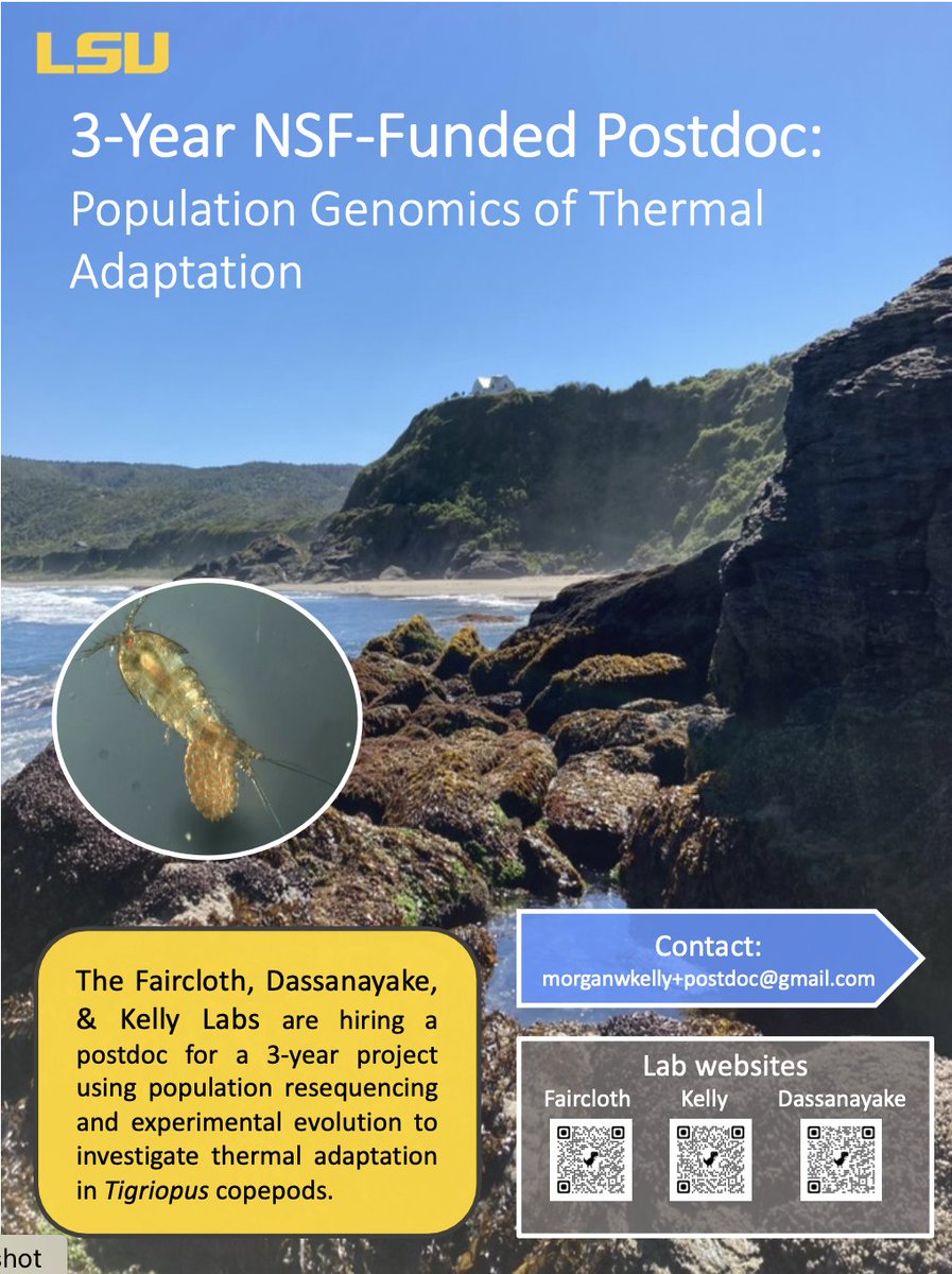 Morgan Kelly (@morganwkelly) on Twitter photo Applications due Sept 1! Three year NSF-funded postdoc with me, <a href="/brantfaircloth/">brant faircloth</a> & <a href="/DassanayakeLab/">DassanayakeLab</a>. NIH-scale salary, retirement benefits, & faculty healthcare plan. Lots of opportunities for cross-training.
Please spread the word and apply here:
lsu.wd1.myworkdayjobs.com/LSU/job/A0309-… Applications due Sept 1! Three year NSF-funded postdoc with me, <a href="/brantfaircloth/">brant faircloth</a> & <a href="/DassanayakeLab/">DassanayakeLab</a>. NIH-scale salary, retirement benefits, & faculty healthcare plan. Lots of opportunities for cross-training.
Please spread the word and apply here:
lsu.wd1.myworkdayjobs.com/LSU/job/A0309-…