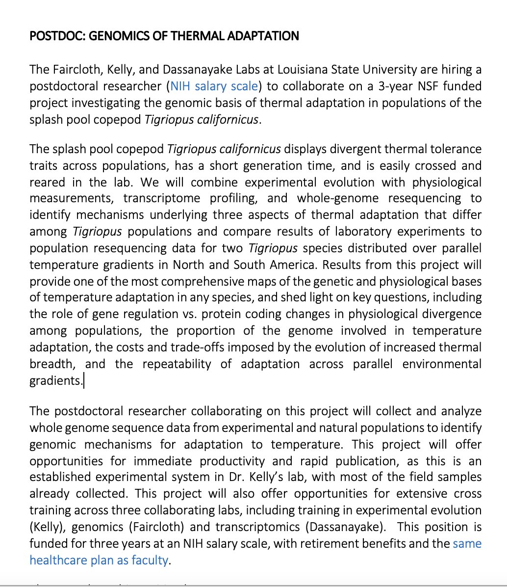 Jessie Salter (jfnacl) / Twitter