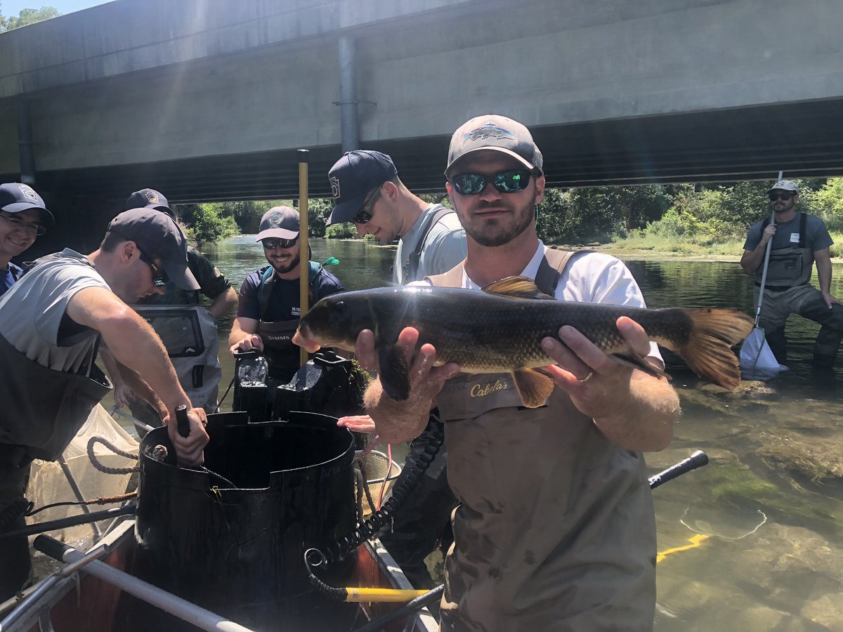 Aaron Henning tweet media