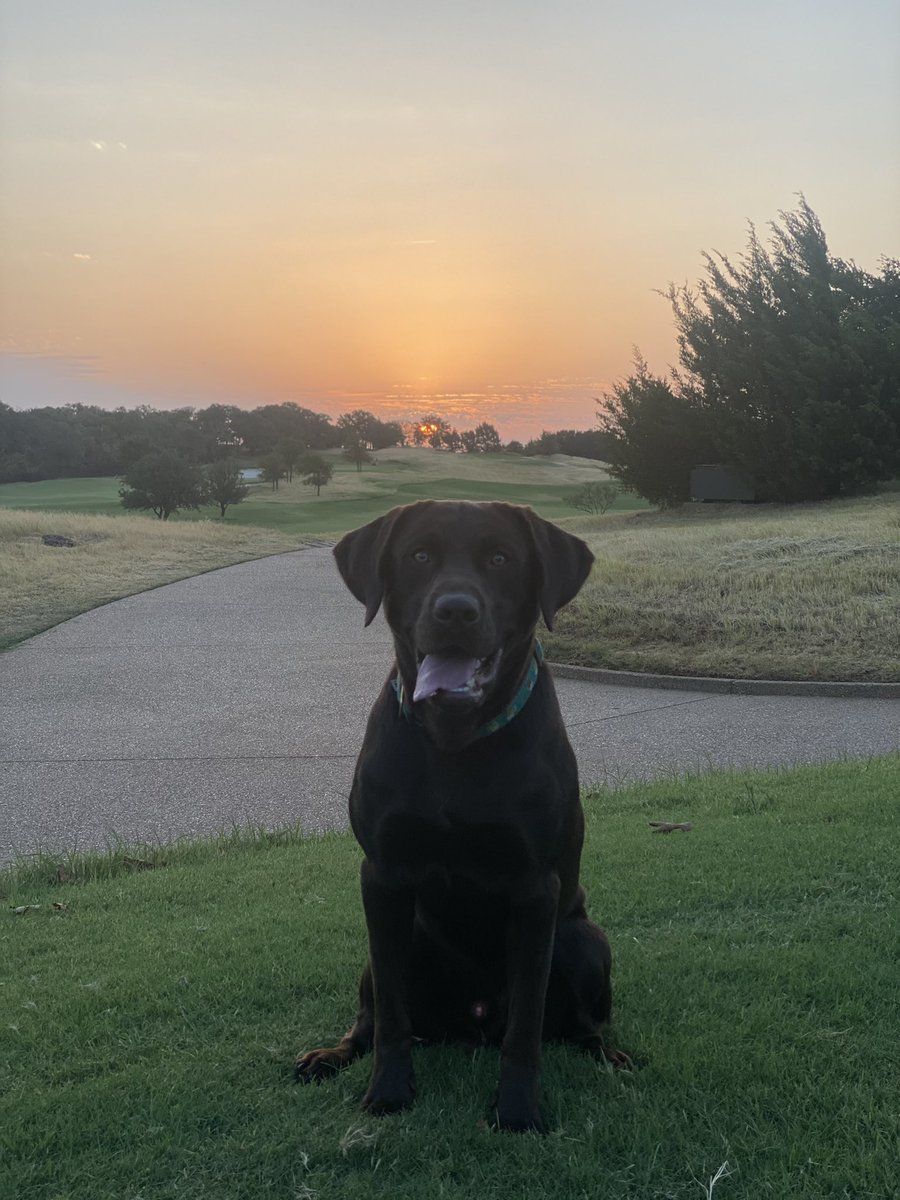 chasecaison's tweet photo. @TheGCSNetwork @DogsOfTurf The man himself https://t.co/8maPHlAK33