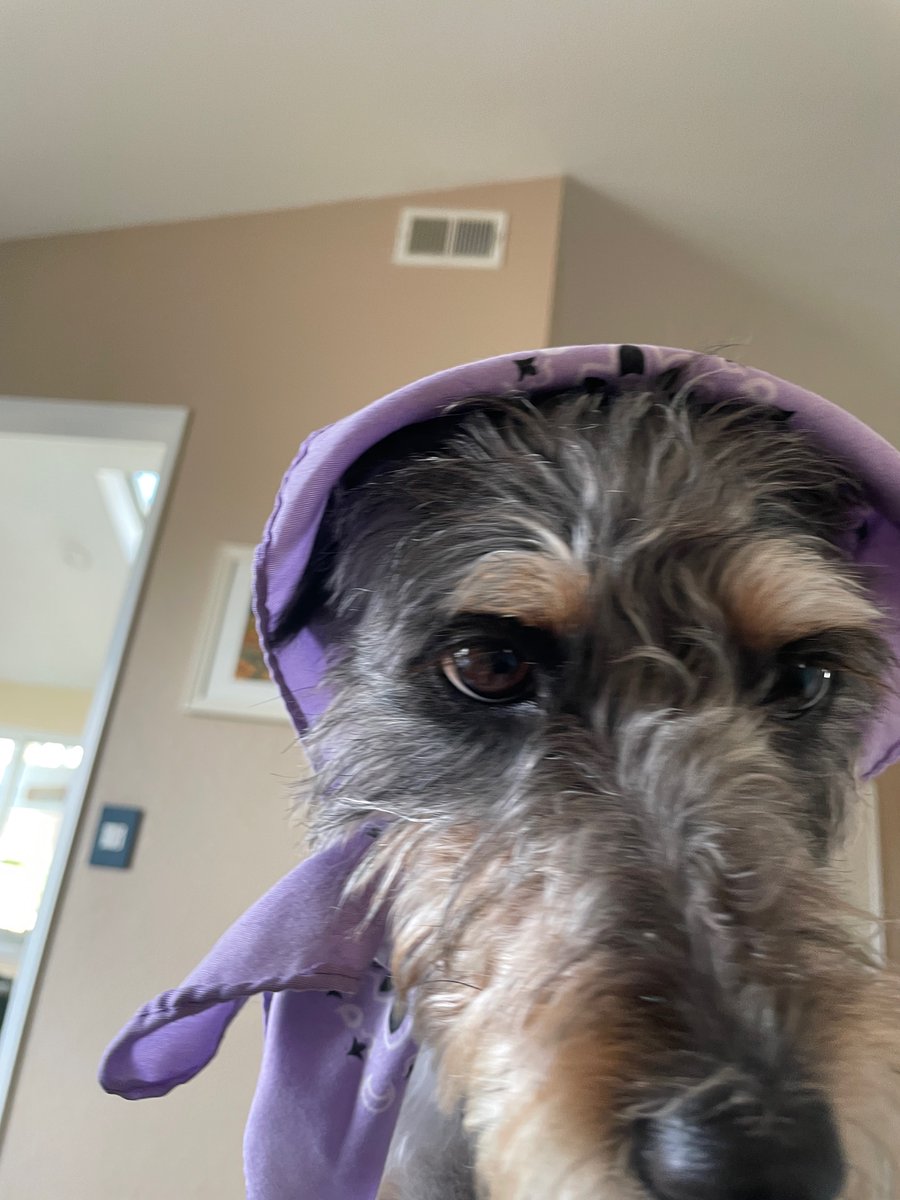 respecttheratio tweet media