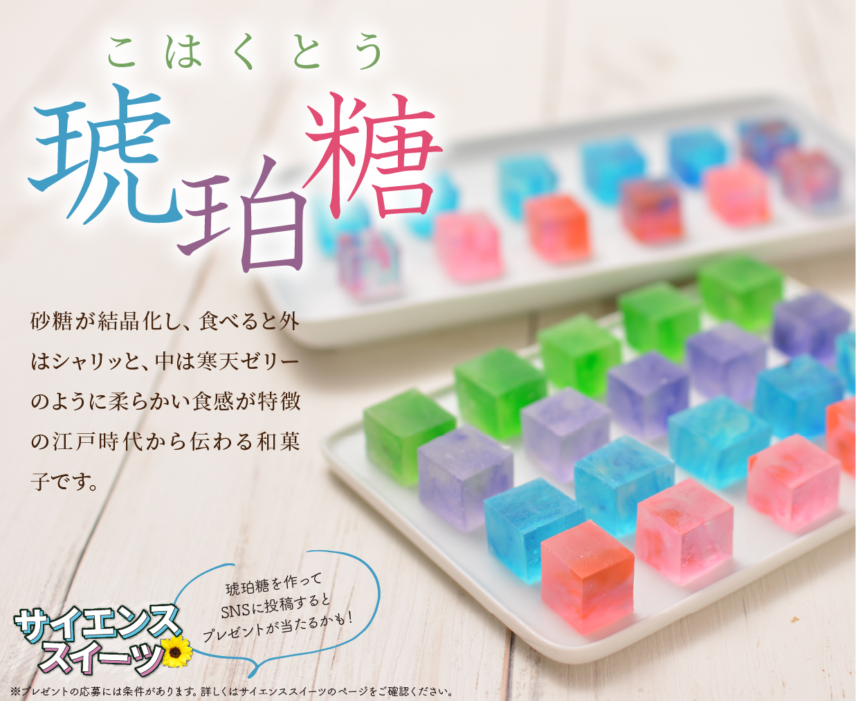 富澤商店【公式】 على X: 