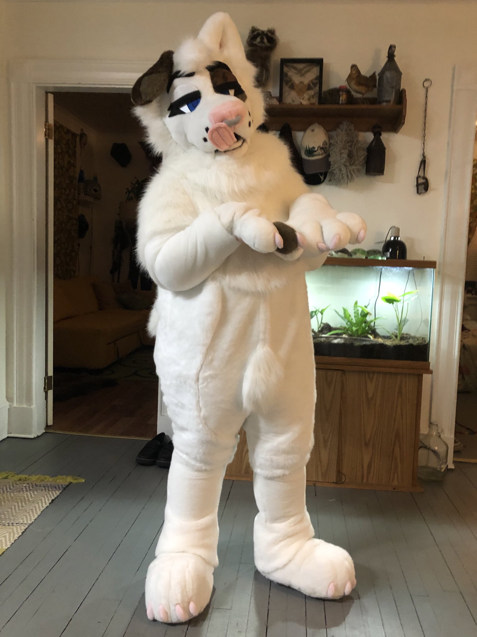 Stag 🌱🌈🏳️‍⚧️ on X: Puppy girl alert @SaoirseMutt 🐶✨  t.coFeMEoSn1lk  X