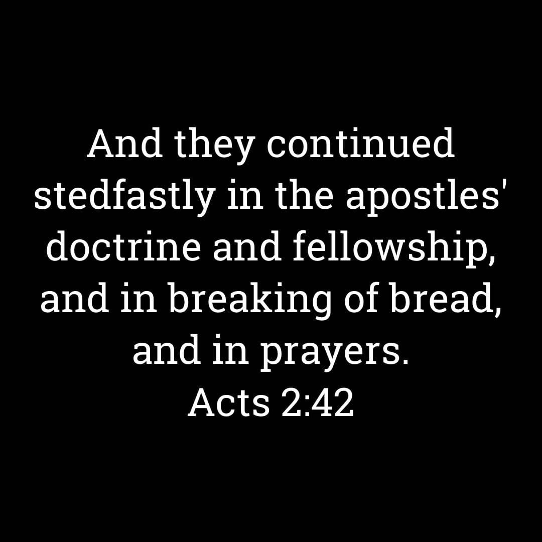 WanderPilgrims's tweet photo. #biblestudy #studythebible #studyyourbible #studytheword #studyGodsword #readthewholebible #acts #bookofacts #thebookofacts https://t.co/C700JYBg8b
