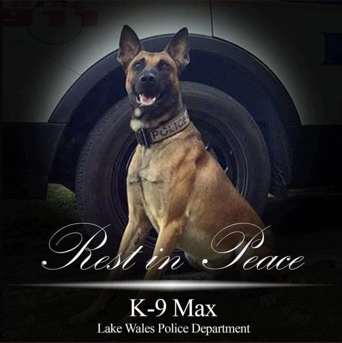 From the members of Polk County Fire Rescue, We would like express our most sincere condolences to Lake Wales Police Officer Jared Joyner and our Brothers and Sisters with the Lake Wales Police Department. RIP K-9 Max
#K9 
#RIPHero
#LakeWalesPoliceDepartment