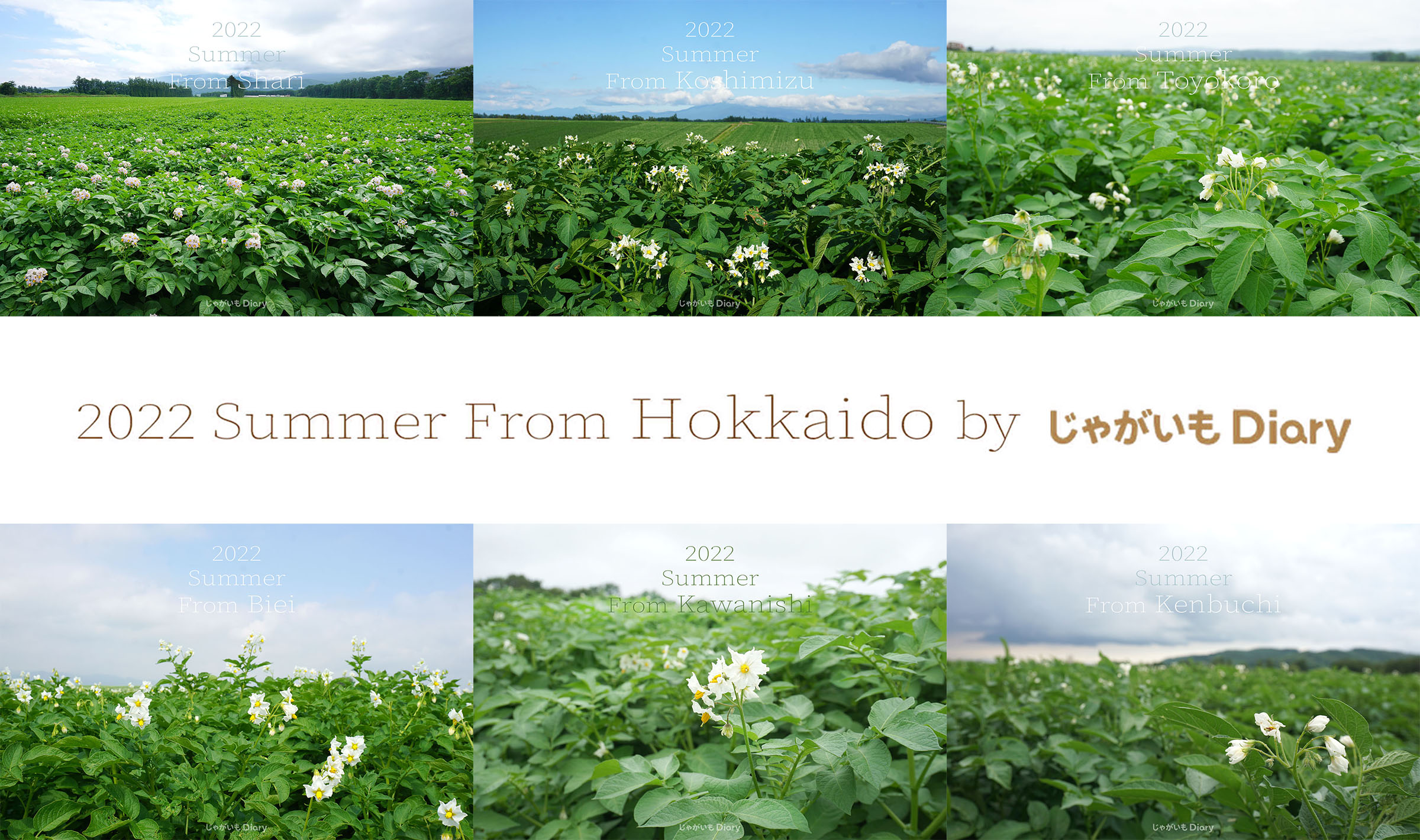 礼儀 古代 インチ カルビー じゃがいも 畑 Dhanbad Icai Org