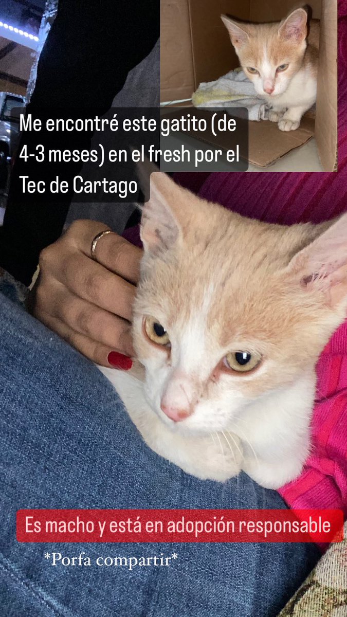 Rt rt rt :( pls