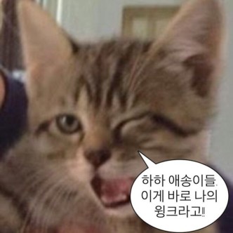 inkyubeoseu's tweet photo. @omHEHBcgzlNyDcY https://t.co/snbR4SG1J6