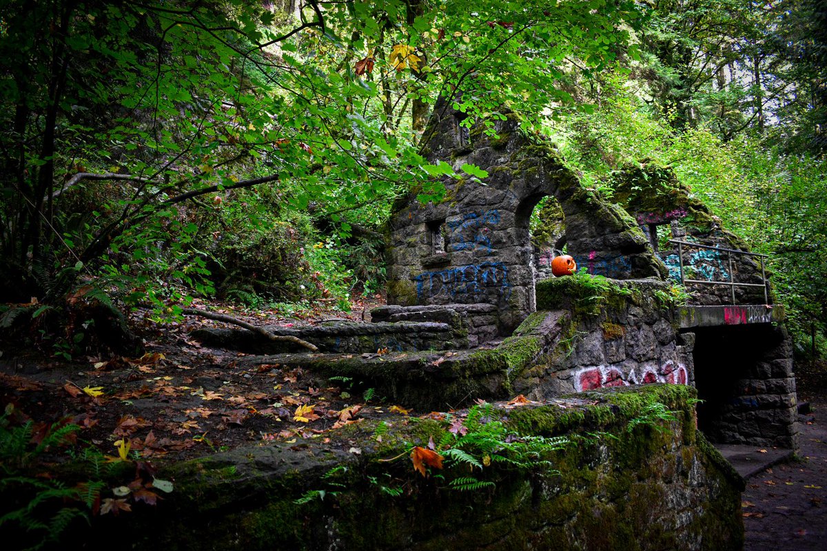 MegBurtonPhoto's tweet photo. Dreaming of cold and rainy hikes up in the pacific north west and longing for the nights of autumn. #thewitchescastle #portland #oregon #halloween #autumn #fall #hikes #pacificnorthwest #nikon #nikonphotography #oversummer #fallweather https://t.co/QSrCFfS83F