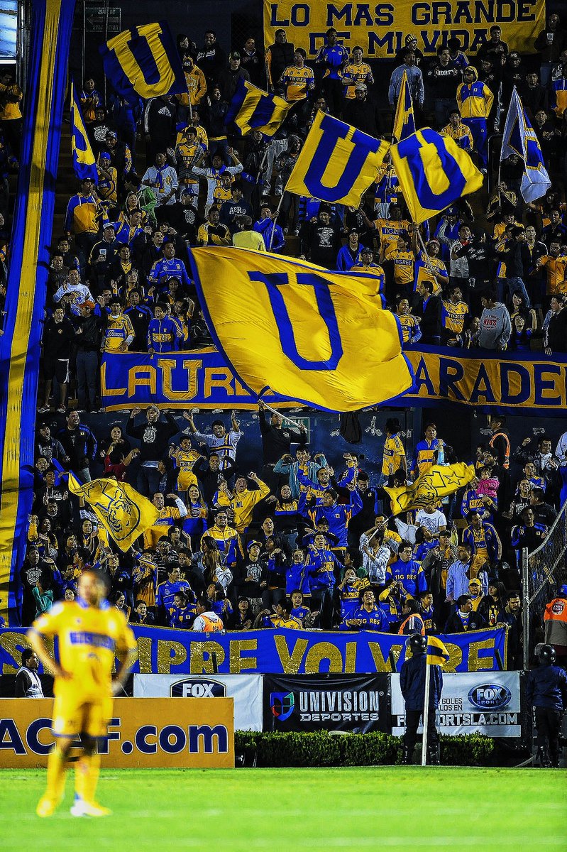 SomosAnalistas_'s tweet photo. ¡LA MEJOR AFICION DEL PAÍS! 🔵🟡

El único equipo que promedia un 98% de asistencia. 40 mil aficionados por partido 

Tigres UANL https://t.co/5CRhBjFUs9