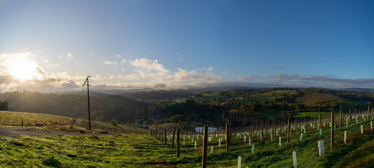 Australia, South Australia: McLaren Vale #Grenache – The Star is Rising. Read Erin Larkin's full report and 250+ tasting notes here: lnkd.in/g-H88VfF

📷 Erin Larkin &amp; Yangarra Estate