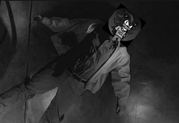 goodbye Shadow Nation... goodbye twitter