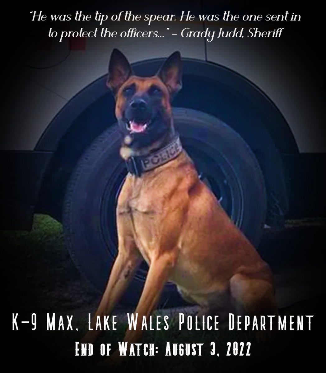 Such a sad day for the City of Lake Wales, their police department, and especially Officer Jared Joyner who lost a partner, friend, and family member.

Farewell, pupper.  

#K9Max   #LakeWalesPoliceDepartment 
#TheRainbowBridge