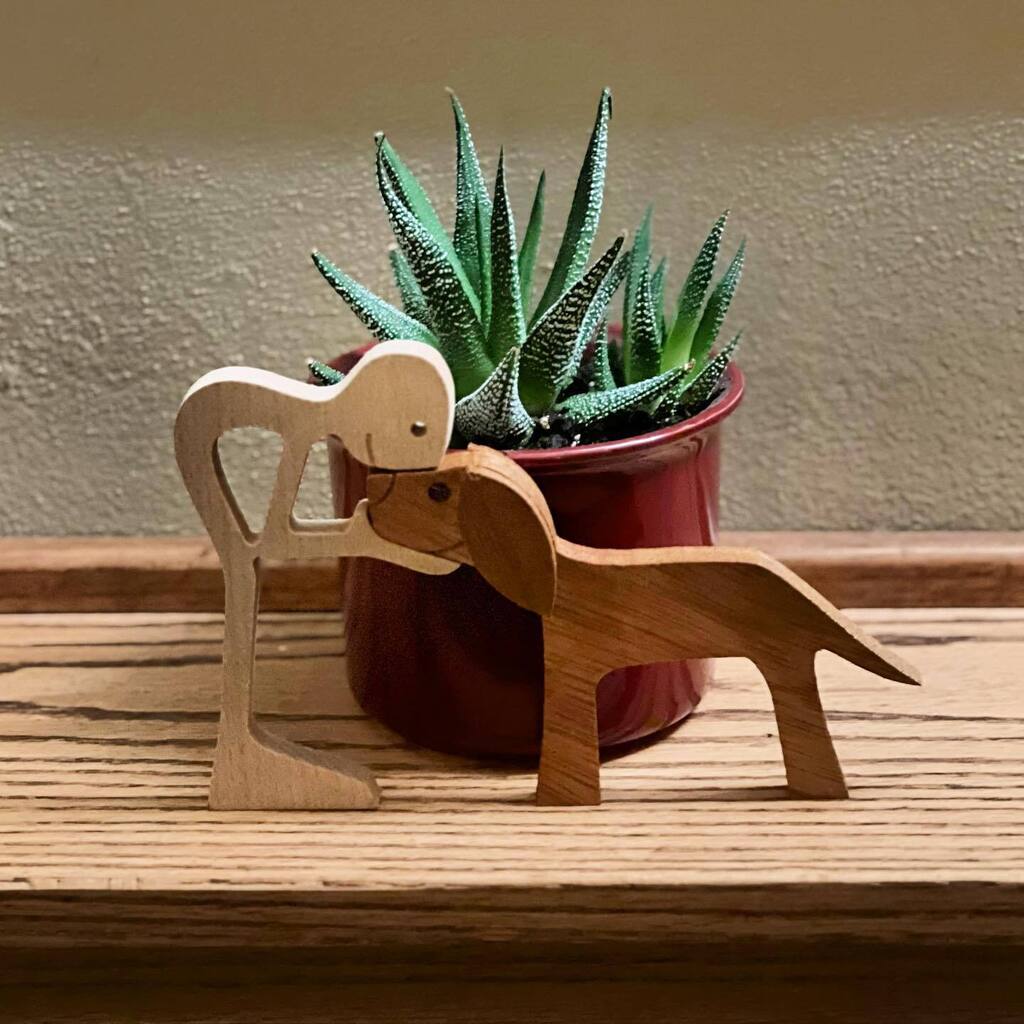 djogrolyo's tweet photo. Another new #succulent today. Love it next to this cute little person/dog thing my Mom & Dad bought me as part of my bday present.
#Houseplants #SucculentsOfInstagram #Succulentstagram https://t.co/j5eaXyH7fu https://t.co/aLdk8YDABB