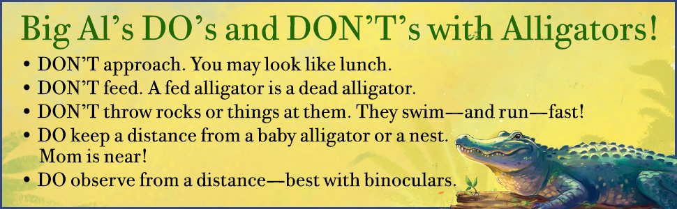 maryalicemonroe's tweet photo. Here are a few of Big Al's tips about #alligators. Good rules, whether you live near gator habitat or on a summer vacation.
#SearchForTreasure #TheIslandersBookSeries #ReadTheIslanders #respectnature #moregreentimelessscreentime https://t.co/KqXHgi8v4g