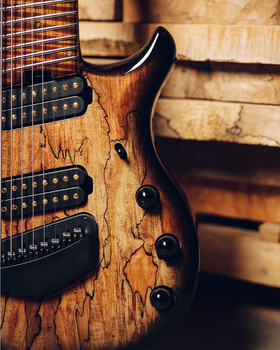 ernieball's tweet photo. Add some spice to your arsenal with our Spice Melange Maple Top Majesty. Each Majesty 8 is limited to 10 instruments available exclusively in our Vault. Shop here: https://t.co/HdcWcSmc1a https://t.co/GKeM0rGMxh