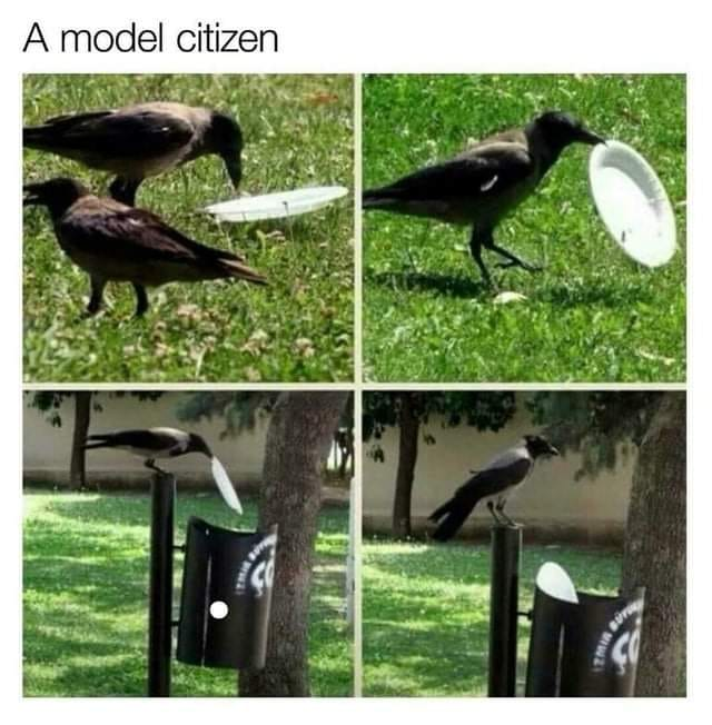 WholesomeMeme's tweet photo. https://t.co/2RdlPkvJpe