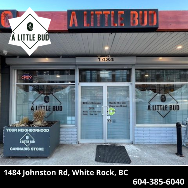 𝐒𝐏𝐄𝐂𝐈𝐀𝐋 𝐒𝐇𝐎𝐔𝐓𝐎𝐔𝐓:
A Little Bud has deep roots in Abbotsford, having operated an award winning medicinal cannabis store from July 2017 until October 2018. 
To learn more about them, head to: alittlebud.ca.
#canadianevergreen #lifestylenews #alittlebud