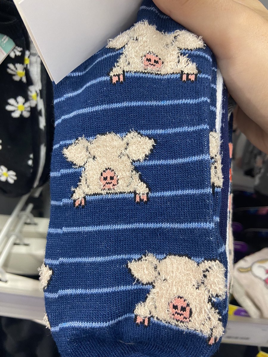 CollegeQueenss's tweet photo. who’s gonna buy these for us so we can step on your throats 🐖 👠🦶 #FinD 
  
$CollegeQueens https://t.co/OHVf59LEu3