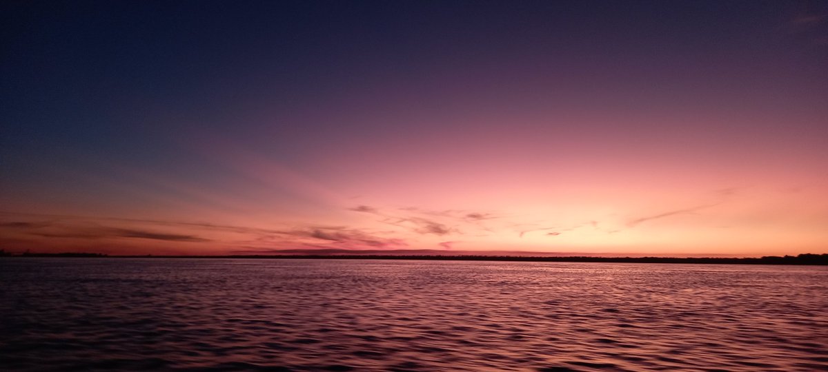 LuisMoulin's tweet photo. "La luz muere en el río, dejando sin abrigo, desnudo al corazón, rojizos y sombríos tus cielos se han dormido, un sueño de lapachos y de amor" (Corrientes, a veces tiene invierno LM) https://t.co/lXrG443O2V