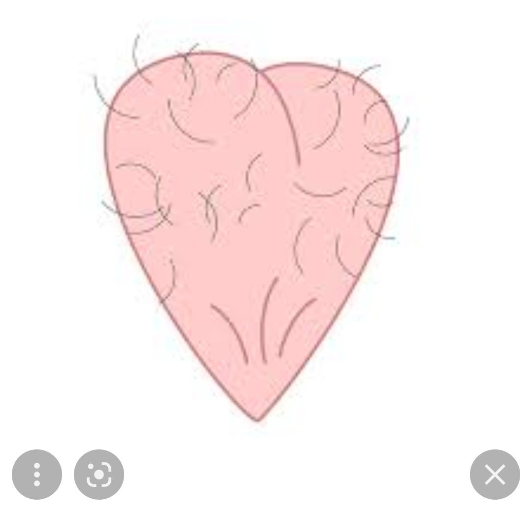 Tim Ferriss on Twitter: "Holy shit. Lyme disease... the gift so nice, I