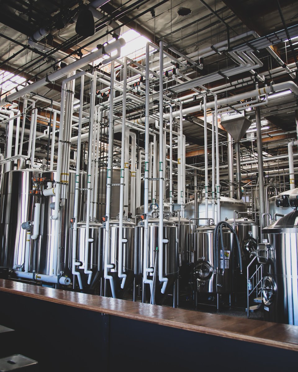 Proudly brewed in San Diego 🍻