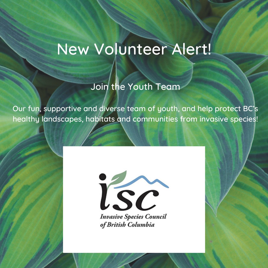 Volunteer Kamloops tweet media