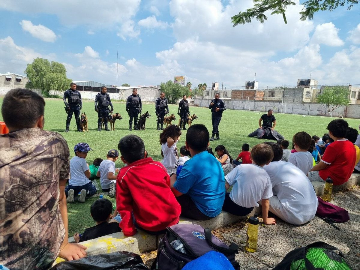 SSPMCORREGIDORA's tweet photo. Hunter, Mina, Fidel, Filpo, Mac y Alex, elentos del #k09, compartieron con las y los #niños de San José de Los Olvera, que participaron en el #CursoDeVerano2022, parte del trabajo que realizan diariamente. https://t.co/2VoygKu7d9