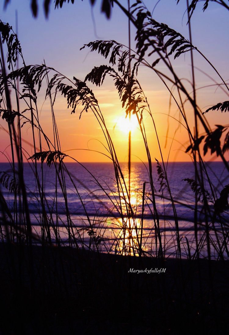 MaryaskyfullofM's tweet photo. Learn to hope ..time will bring you everything.. https://t.co/YemdtuZMAA