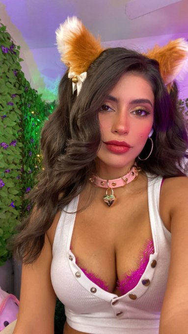 asmr meow :3 https://t.co/WXMly929BN