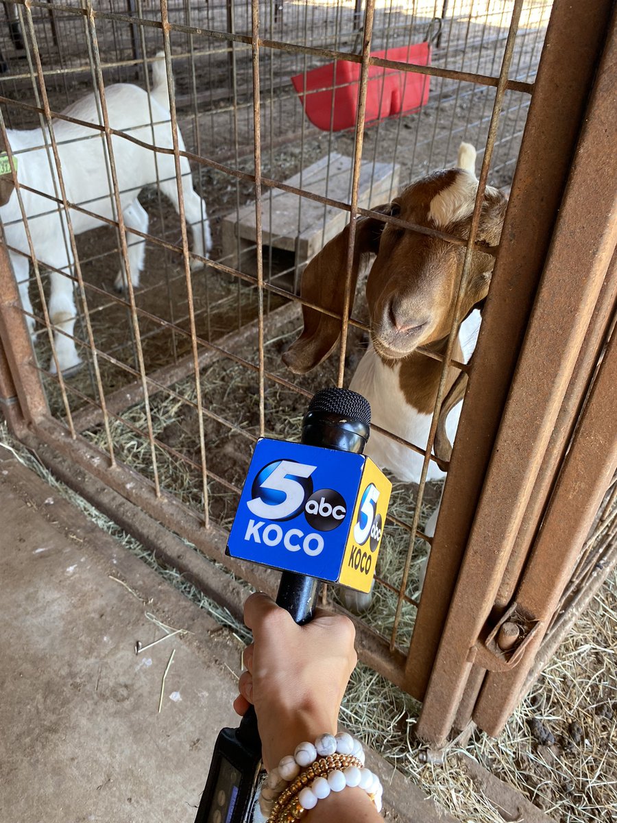Made a new friend today! He didn’t have much to say, but he was adorable. <a href="/koconews/">koconews</a>
