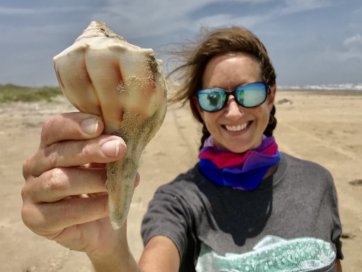 We are hiring an Education Specialist/Volunteer Coordinator position at Mission-Aransas Reserve! Come work with us!
Job description: This position will work in Port Aransas, Texas. All details here: utaustin.wd1.myworkdayjobs.com/en-US/UTstaff/…