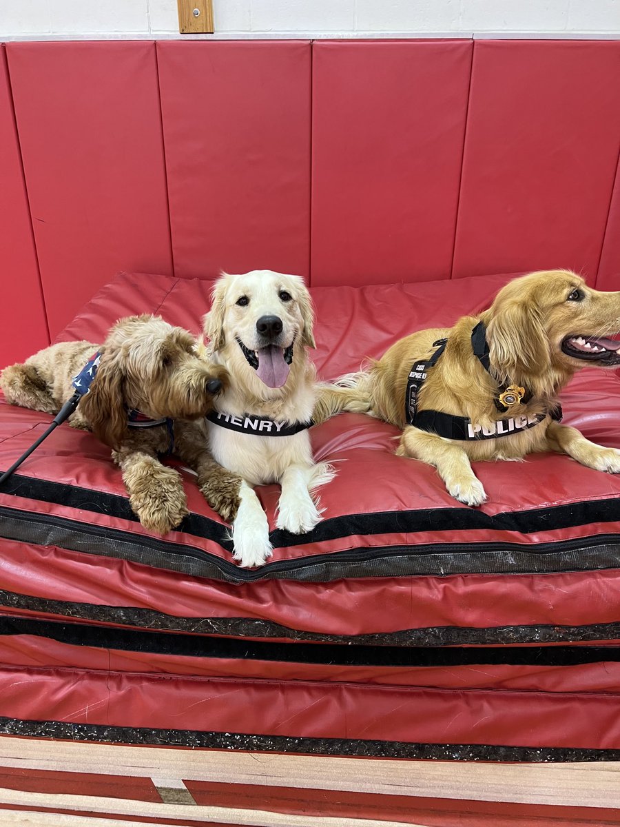 WonderdogHenry's tweet photo. What a great day today! I got to train w/my good buddies K9Matt ⁦@iowastatepatrol⁩ &amp; K9Mo ⁦@BellevuePolice⁩ Everyone rocked it w/commands, especially when we wanted to play! Huge fun! Can’t wait till our next time! ⁦@SarpySheriff⁩ ⁦@K_Kotrous⁩ 🐾 https://t.co/LepJeDSkCt