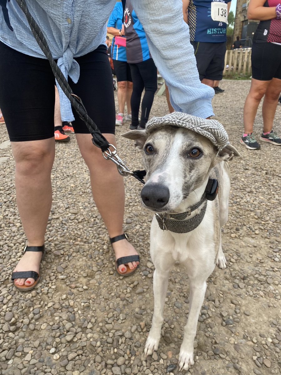 DawnSG2010's tweet photo. Another fabulous #FlatCap5 race by #DewsburyRoadRunners this evening. Great turnout and excellent organisation. Well done to everyone who took part. Hope you enjoyed the pie n peas @UKRunChat @dewsflatcap5 https://t.co/dCThx9nd8f