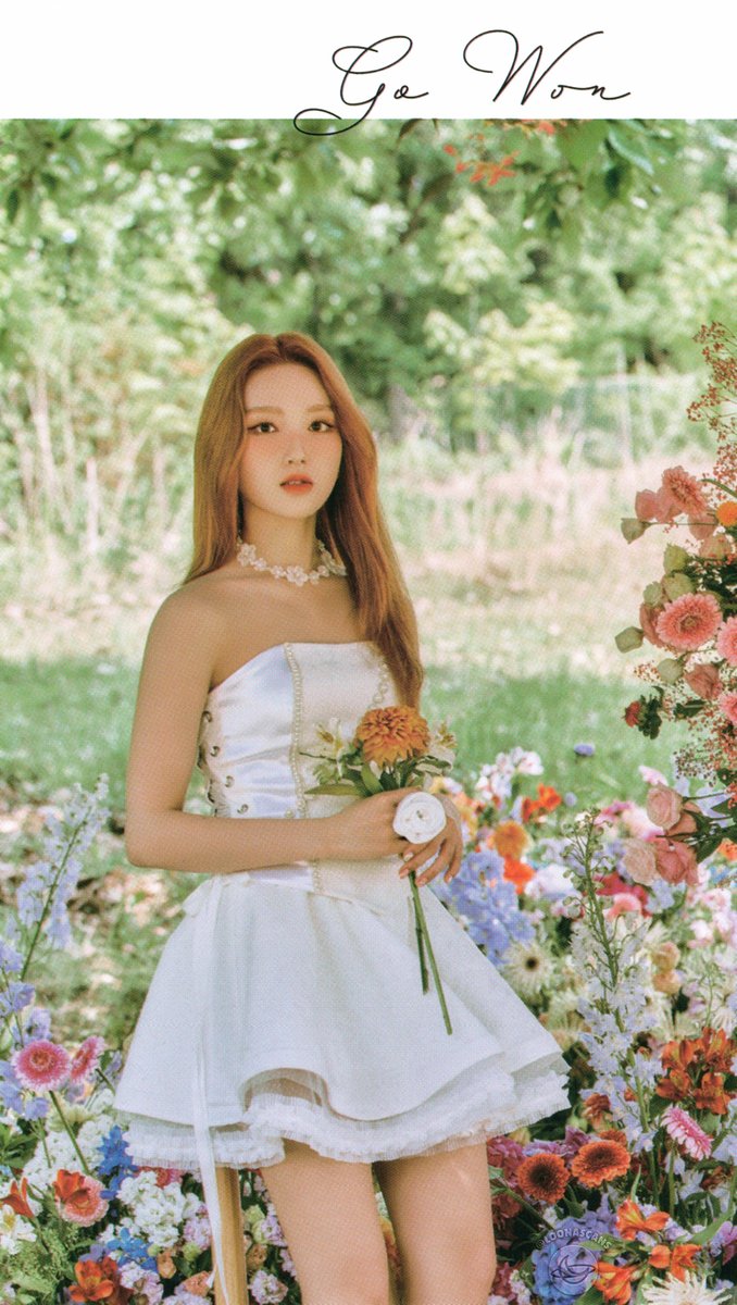 loonascans tweet picture