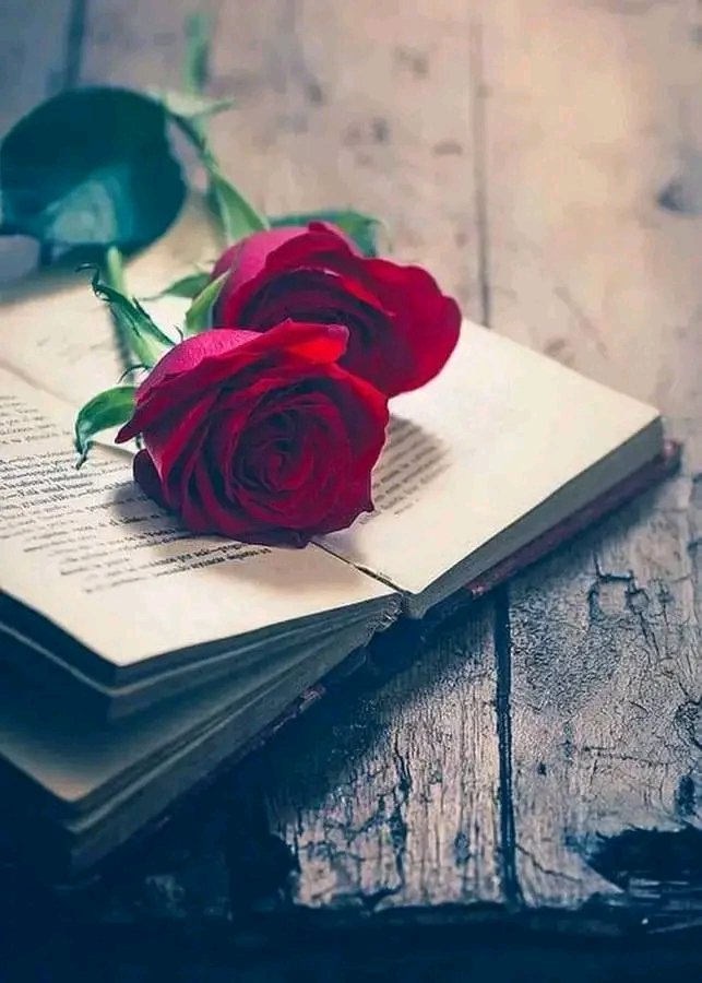 LoveVibal's tweet photo. good morning https://t.co/k4ykFOX99h